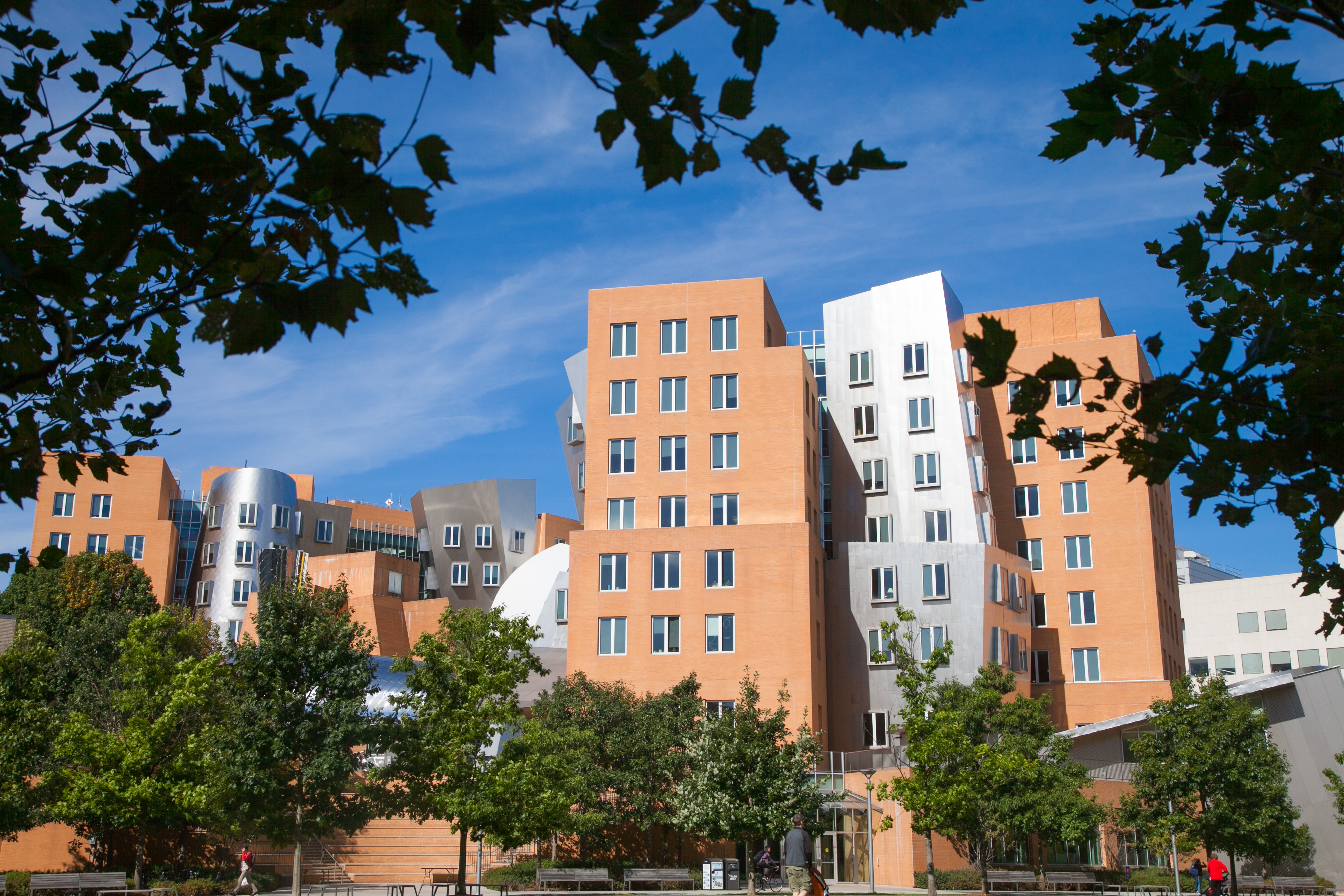 stata center 