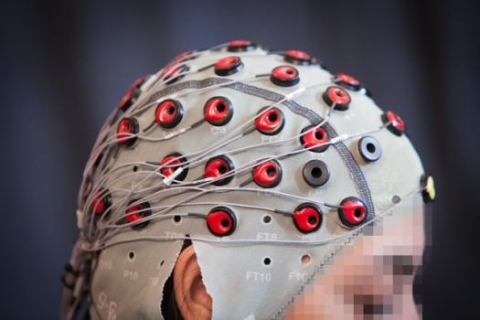 brain waves eeg mit csail