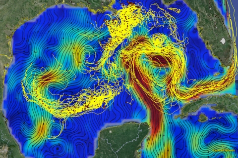 This figure shows drifting buoy trajectories in the Gulf of Mexico superimposed on surface currents. The red dots mark the buoys’ positions on March 9, 2016, and the tails are 14 days long (Edward Ryan and Tamay Özgökmen from the University of Miami).